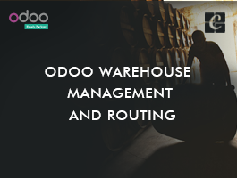  Odoo Warehouse Management and Routing