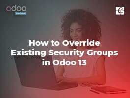 How to Override Existing Security Groups in Odoo 13