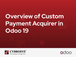 Overview of Custom Payment Acquirer in Odoo 19