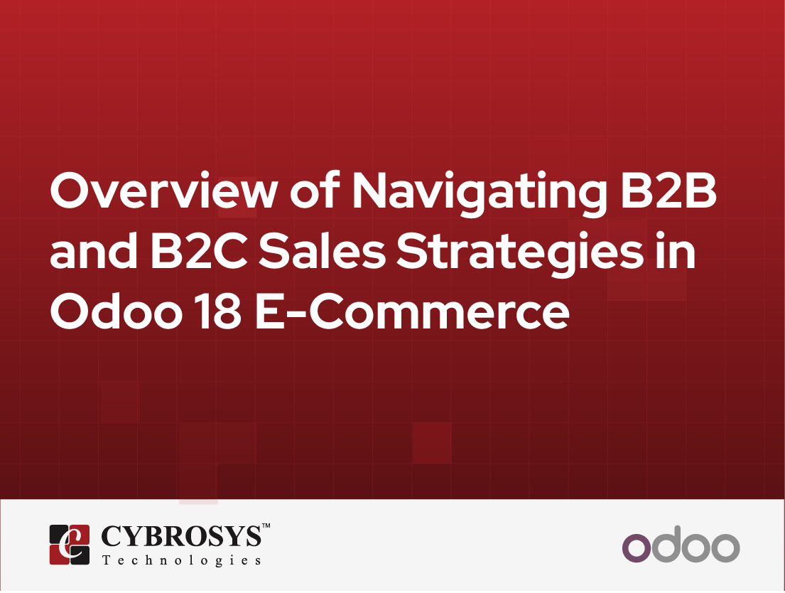  Overview of Navigating B2B and B2C Sales Strategies in Odoo 18 E-Commerce