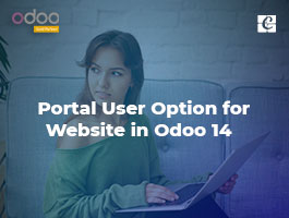  Portal User Options for Website in Odoo 14