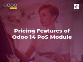  Pricing Features of Odoo 14 PoS Module