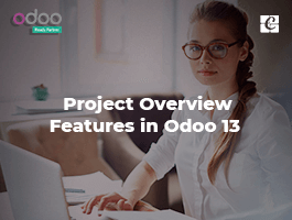  Project Overview Features in Odoo 13