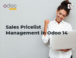  Sales Pricelist Management in Odoo in 14