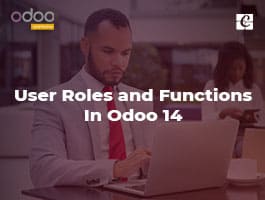  User Roles and Functions in Odoo 14