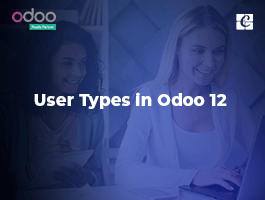  User Types in Odoo 12