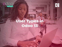  User Types in Odoo 13