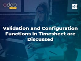  Validation and Configuration Functions in Timesheet are Discussed