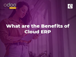  What are the Benefits of Cloud ERP
