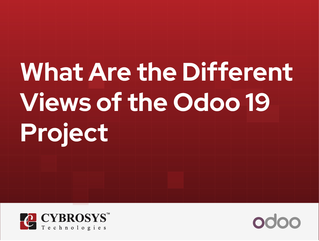  What Are the Different Views of the Odoo 19 Project