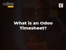  What is an Odoo Timesheet?