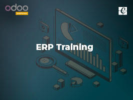  What is ERP Training