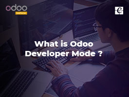  What is Odoo Developer Mode?