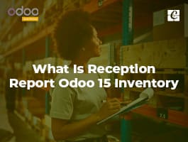 How To Send An Email With PDF Attachment in Odoo
