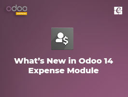  What’s New in Odoo 14 Expenses Module?