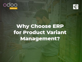  Why Choose ERP for Product Variant Management?