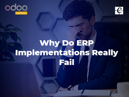  Why Do ERP Implementations Really Fail