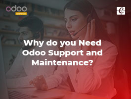  Why do you Need Odoo Support and Maintenance?