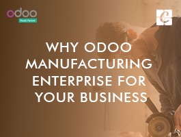 Why Odoo Manufacturing Enterprise for Your Business?