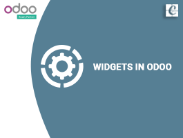  Widgets in Odoo