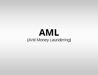 Anti Money Laundering Application - Cybrosys