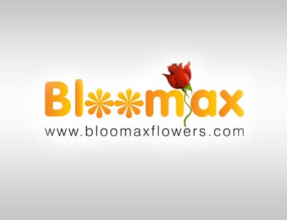 Cybrosys Bloomax Accounts ERP