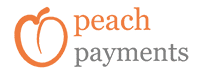 payment erp integration