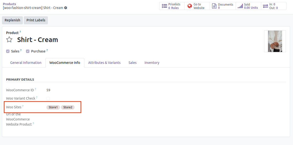 BioTime server configuration and authentication in Odoo