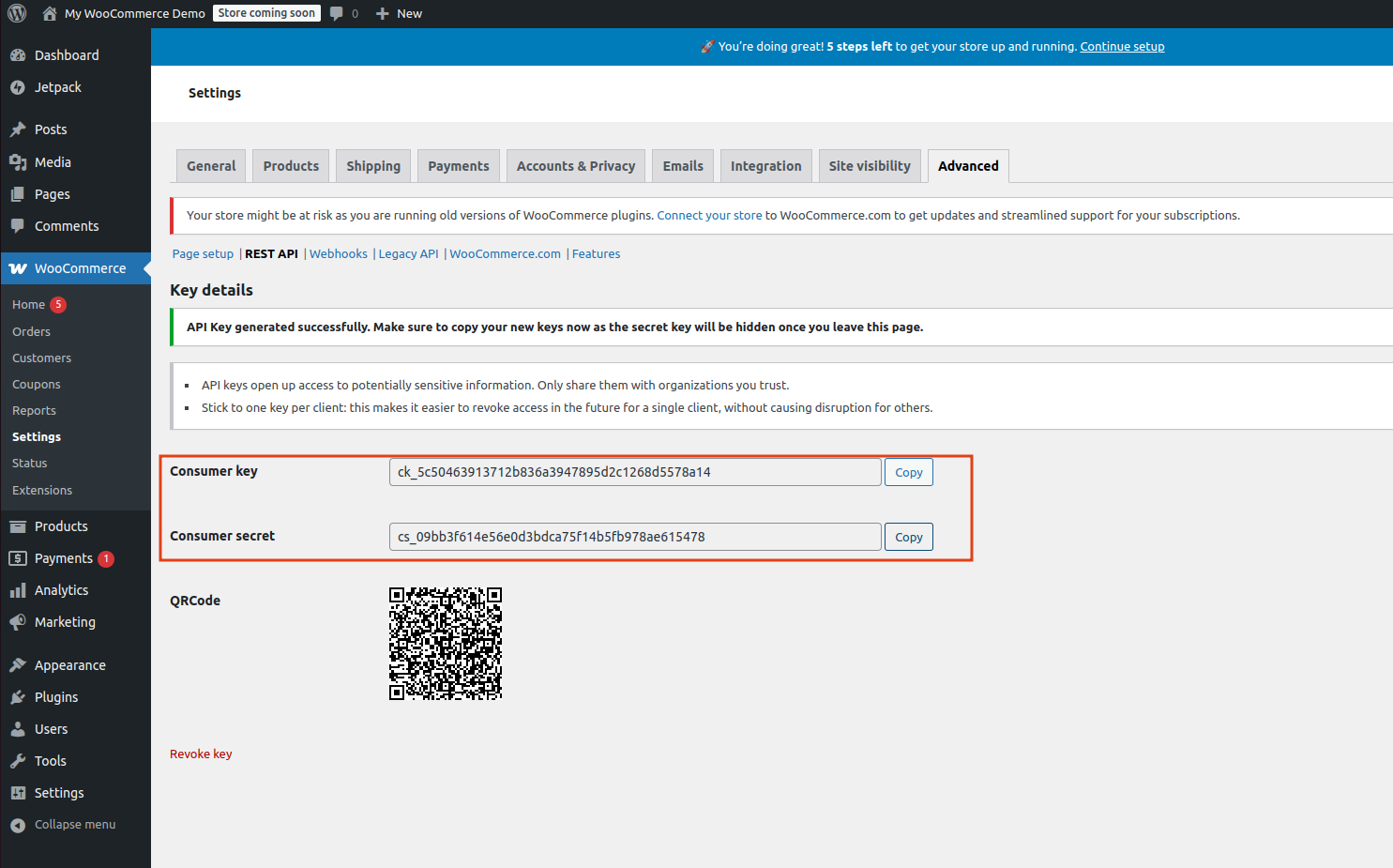 BioTime server configuration and authentication in Odoo