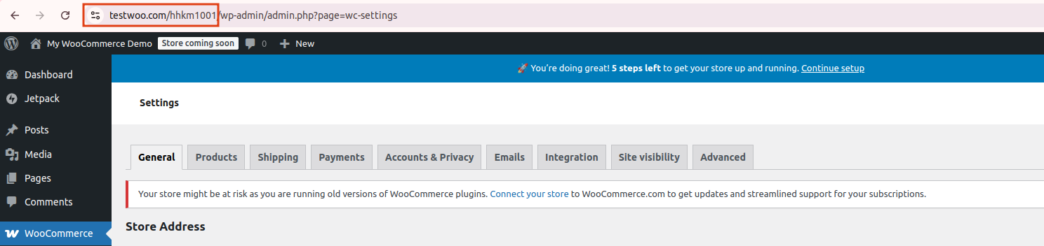 BioTime server configuration and authentication in Odoo