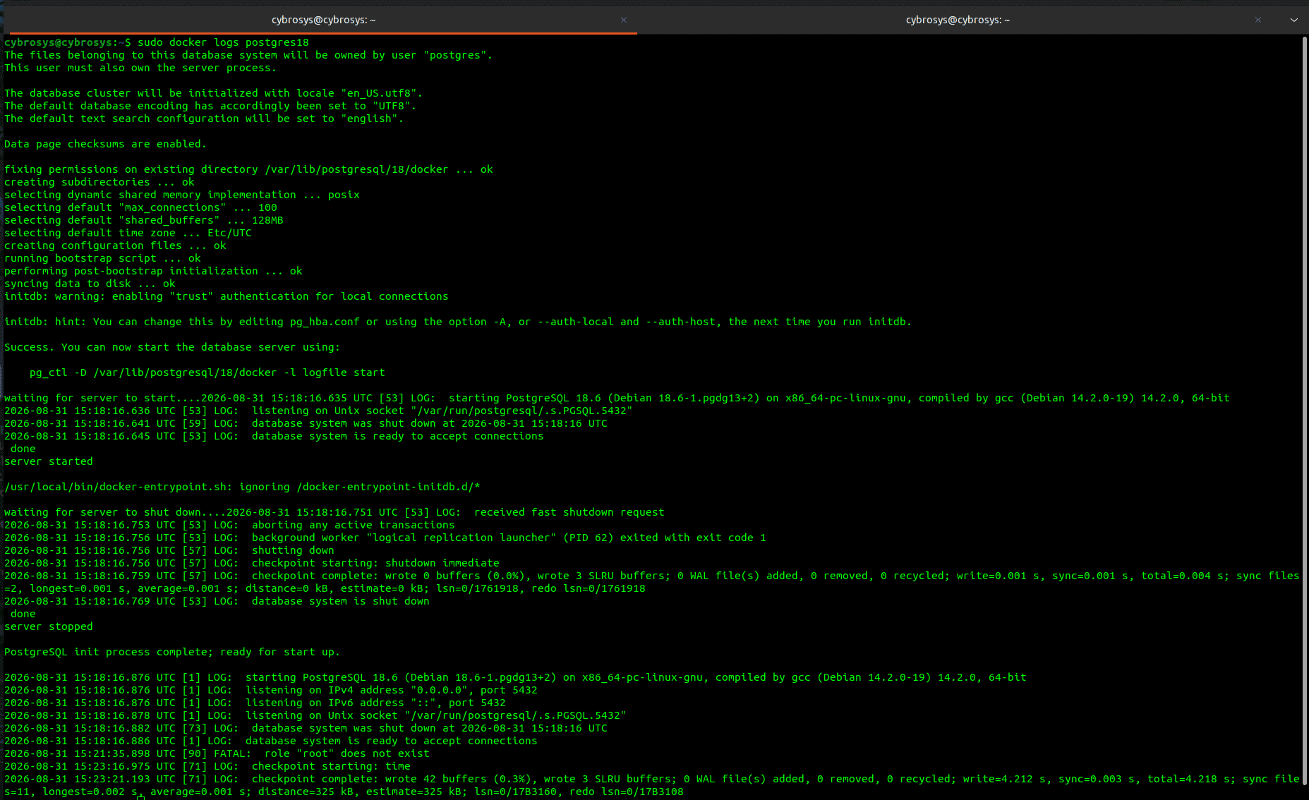 Step-by-Step Guide on How to Run PostgreSQL 18 in Docker-cybrosys-R&D